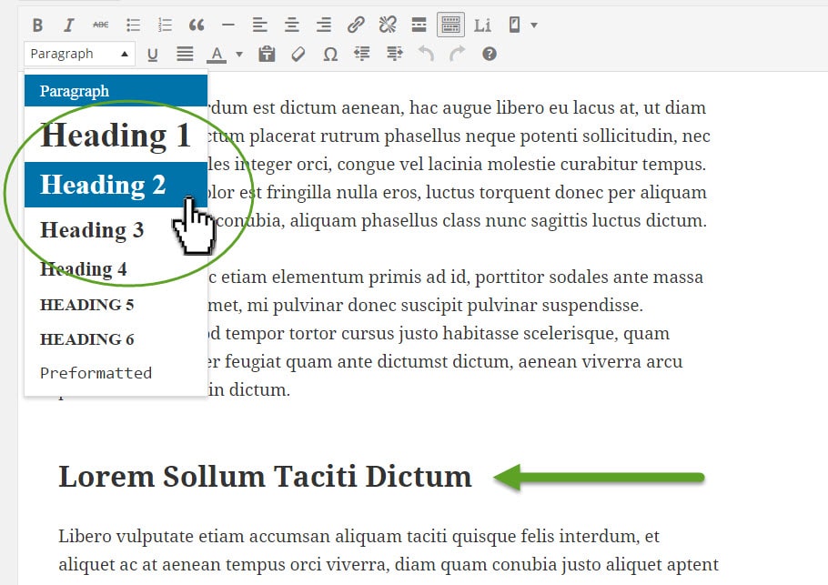 Creating H2 subtitle in a WordPress post