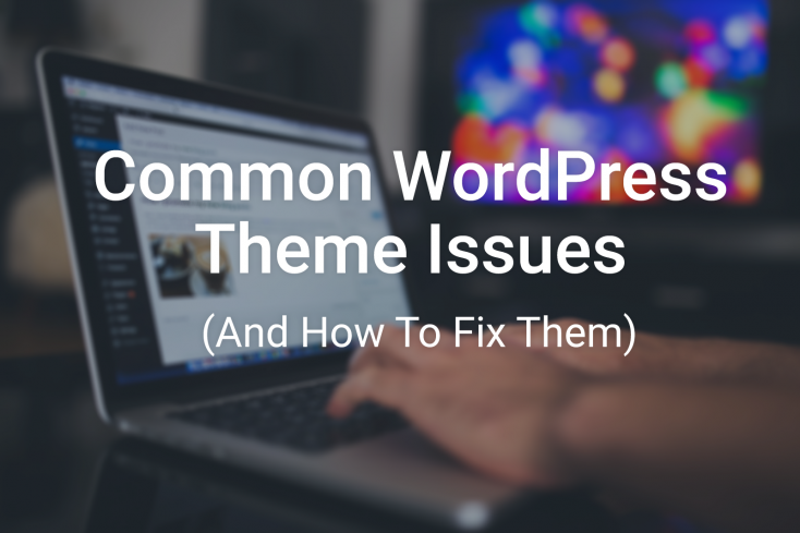 Common WordPress Theme Issues
