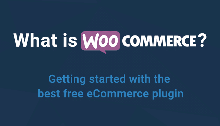 What is Woocommerce plugin ad