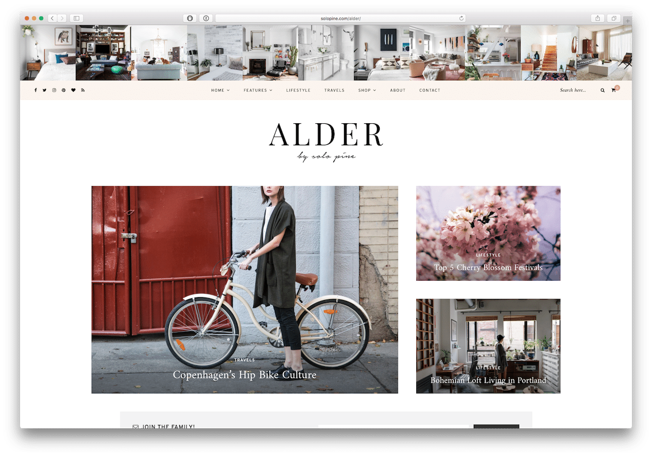 Screenshot of the Alder food blog WordPress theme