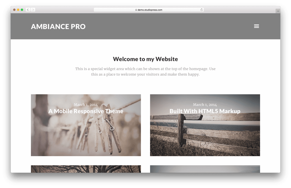 Ambiance Pro portfolio WordPress theme screenshot