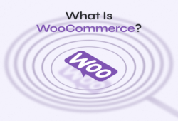 What Is WooCommerce?