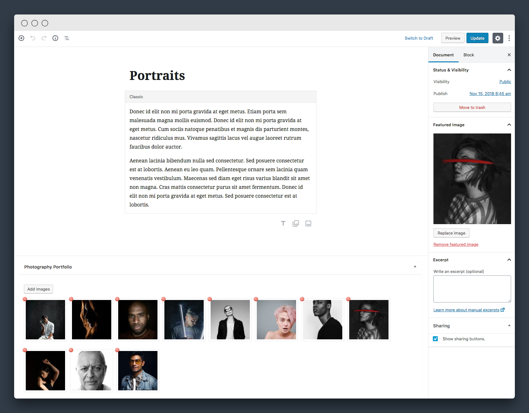 How to Create a WordPress Photography Portfolio - WPZOOM
