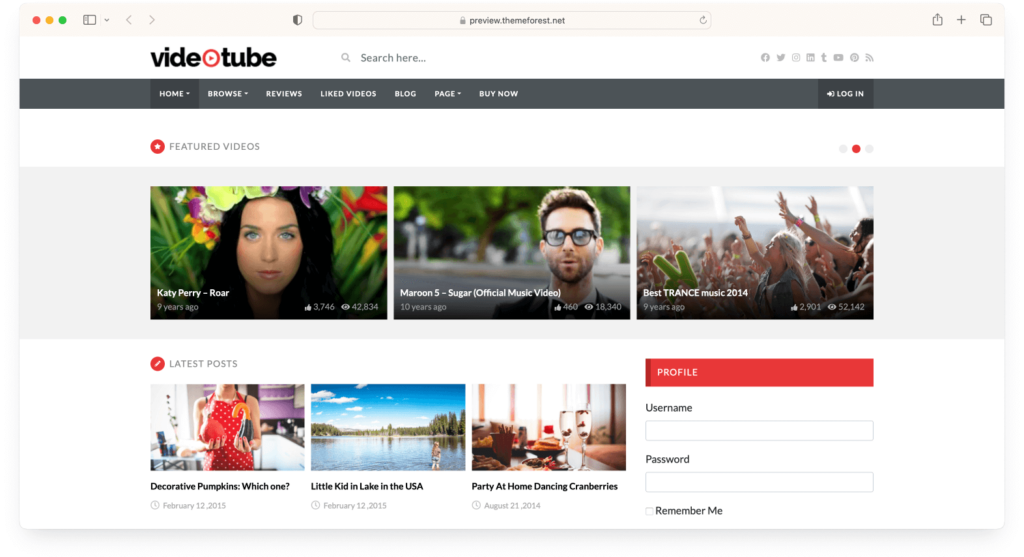 VideoTube video WordPress theme