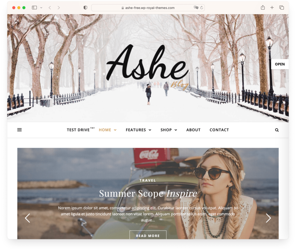 Ashe - a versatile, user-friendly, and free WordPress theme