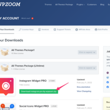 How to Install a Premium WPZOOM Plugin
