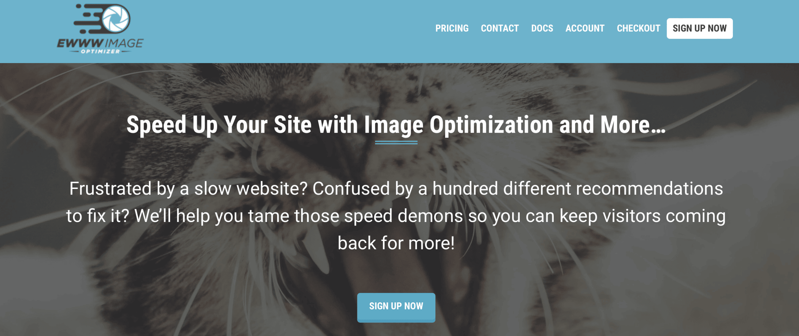 EWWW Image Optimizer is one of the best image optimization plugins for photography websites.