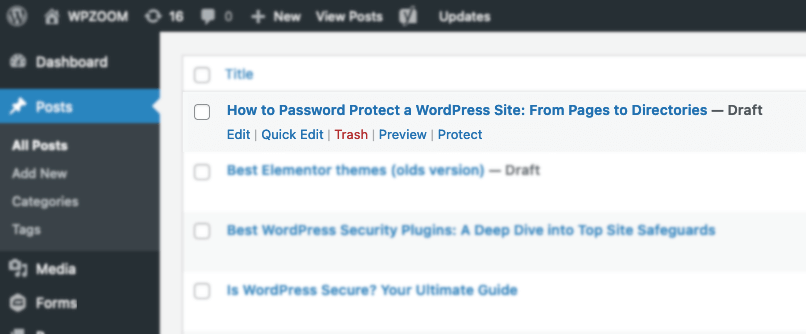 Password Protect a WordPress Page with PPWP plugin