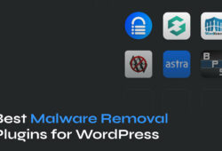 Best WordPress Malware Removal Plugins