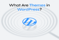 What Are Themes in WordPress