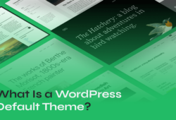 Default WordPress Themes