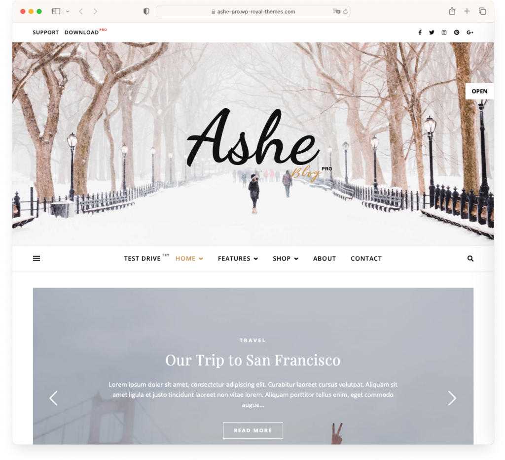 Ashe - an elegant photography theme