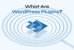 What Are WordPress Plugins?