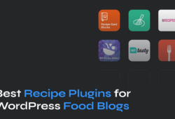 Best WordPress Recipe Plugins
