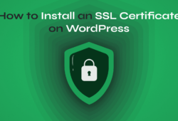Install an ssl certificate on wordpress